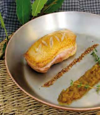 Magret de canard